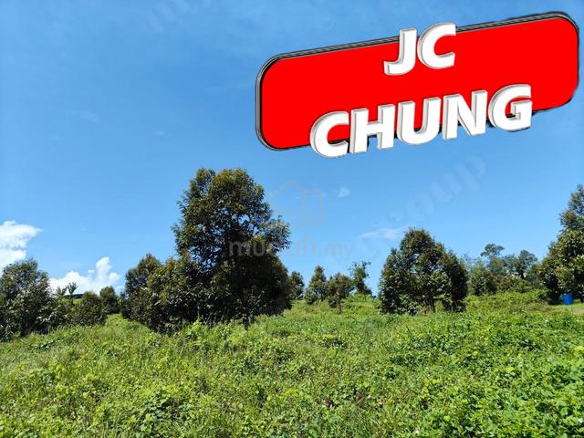 9.9 Acres Durian Land For Sale @ Lenggong , Perak 5