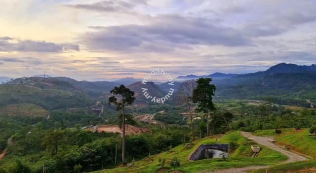 Homestead Communities multipurpose Agricultural Land, Bentong , 3
