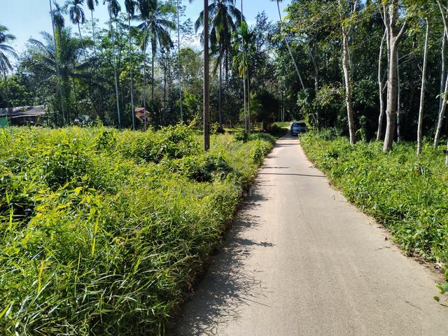 Tanah Nami Lama Padang Terap untuk tapak rumah,dusun,kebun atau Aset 4