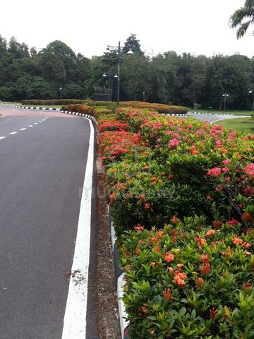 College Heights Garden Resort 10mins To Eco Majestic Gated 8,060 sf 1