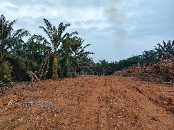 1 acre @ Taman Pasir Panjang, kampung Bukit Tembok, Port Dickson, N9 1