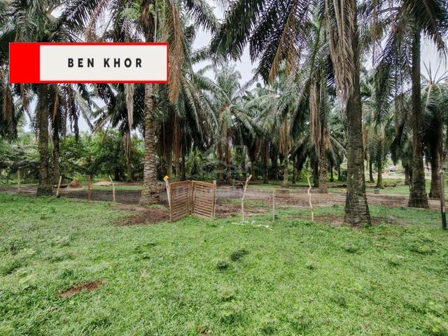 3.6 14acres | Agricultural Land | Sidam Kanan | Padang Serai | KEDAH 1