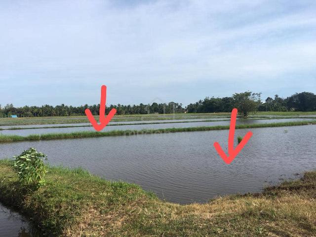 Tanah Sawah 2.73 Ekar Di Sebelah Highway AMJ Melaka Tengah Utk Di Jual 1