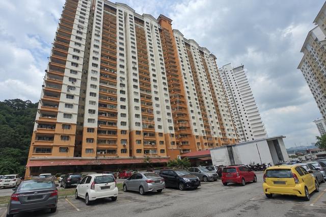 Flora Damansara 1