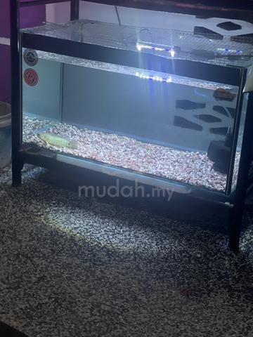 aquarium 2.5 kaki dan 1.5 kaki - photo 4 of 4