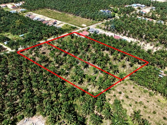 Agri Land For Sale Parit Jambol, Parit Raja 1