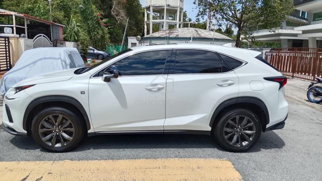 2018 Lexus NX300 2.0 F SPORT (A) - 5