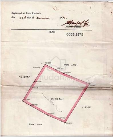 CL 19 acres land for sale, Kudat. Suitable Agriculture, Bird Nest Farm 1
