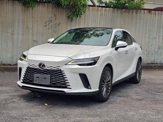 2023 Lexus RX350 2.4 LUXURY (A) WHITE VERSION L - 2