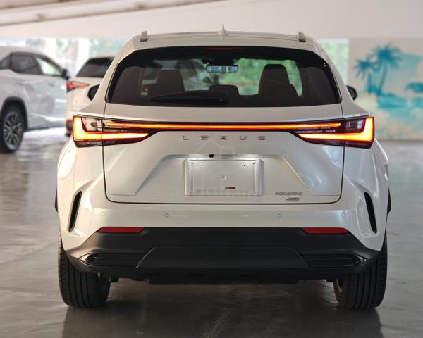 2023 Lexus NX 250 2.5 VERSION-L NX250 HUD DIM 360 - 4