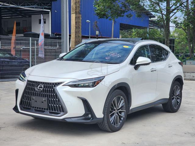 2023 Lexus NX250 2.5 LUXURY (A) - 2