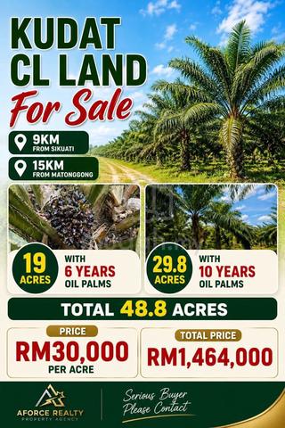 kudat Oil Palm Land 1