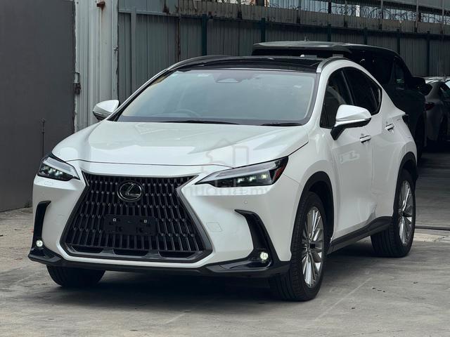 2023 Lexus NX250 2.5 LUXURY MY22 (A) - 1