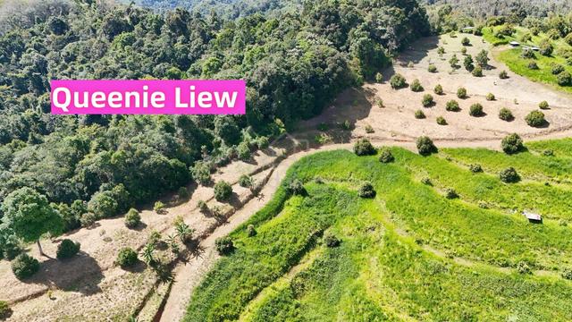 CL99 25acre Durian Plantation Land Kg Lutong Tambunan Sabah 1