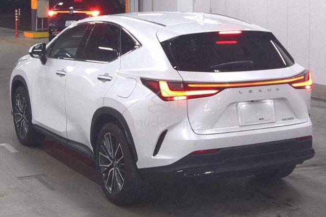2023 Lexus NX250 2.5 LUXURY - 5