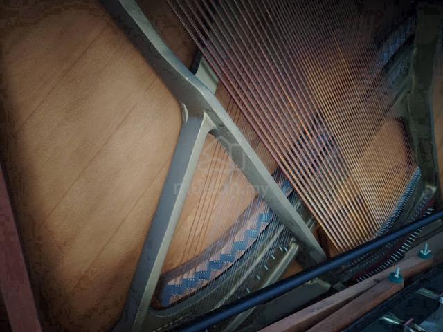 Carousel Image