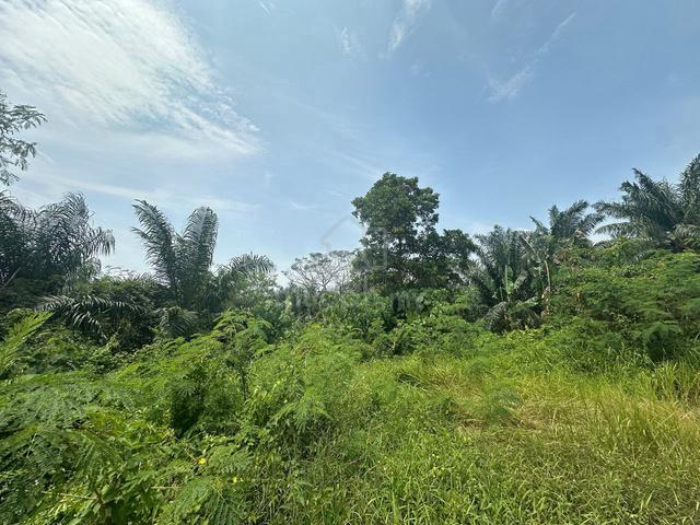 TANAH RATA Kampung Perepat Klang 2