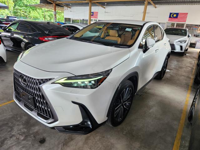 2023 Lexus NX 250 2.5 VL lsbrown 4led 20 2ms - 2