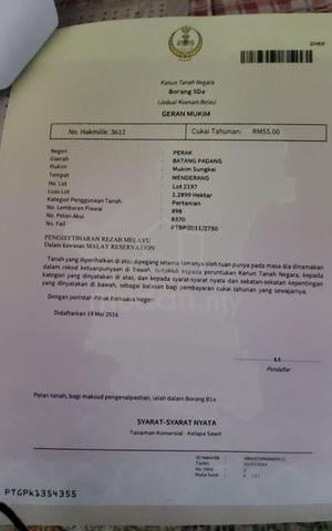 Tanah Kebun Untuk Dijual 1