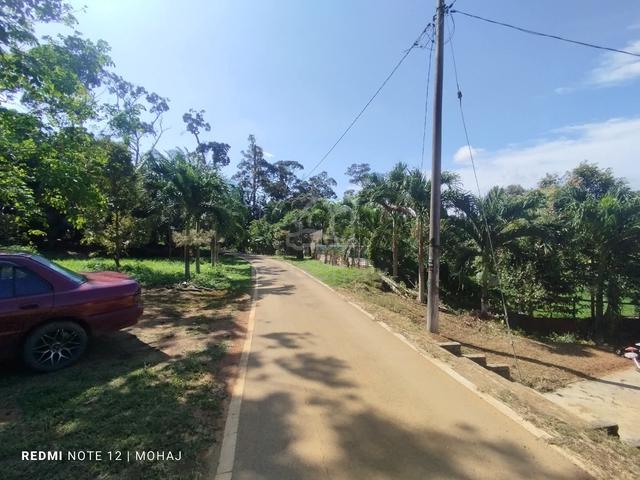 Dusun Freehold Gelang chinchin serta Tiny house cantik 5