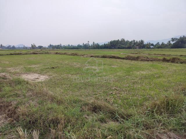 Tanah Bendang Abi Padang Melangit 1