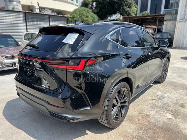 LIMITED OFFER 2022 Lexus NX250 2.5 MARK LEVINSON - 4