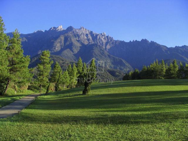 Mesilau Golf course Land for sale Prime location 1