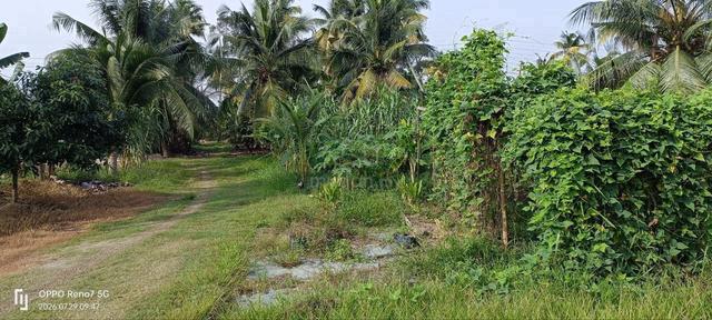 Tanah Tapak Rumah 70 X 90 Di Bukit Kerayong Kapar 1