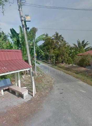 Agricultural Land at Bagan Serai 1