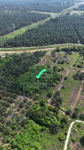 TANAH KEBUN DIRECT Owner 1