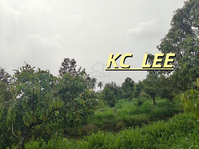 Main Road Durian Land (Zoning Residential) For SALE @ Junjong,Kedah 1
