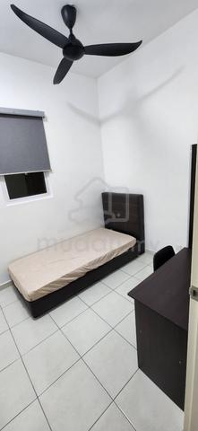 Single Room- Sungai Ara 1