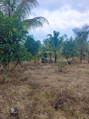 Bunglow kampung di dusun 1 ekar Kg Haji Ghaffar Yong Peng - utk disewa 1