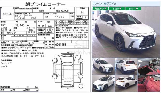 2023 Lexus NX 250 2.5 BASE Red Interior High Spec - 2