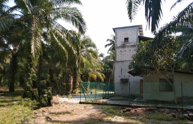 Tanah untuk dijual di kampung kundang Tg. Sepat 1