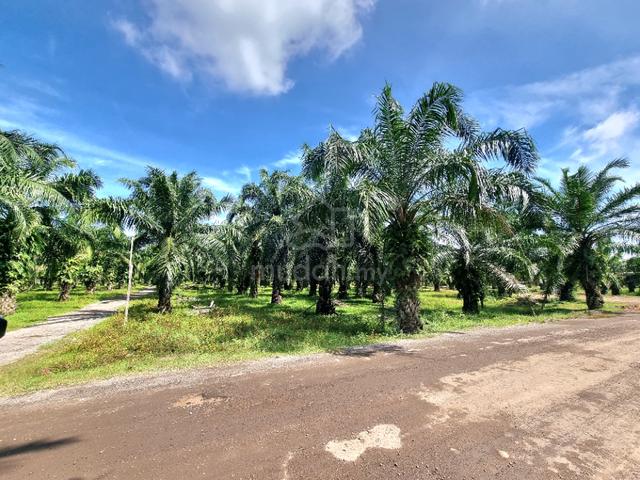 Zoning Industrial Agricultural Land For SALE,Location More Convenient 5