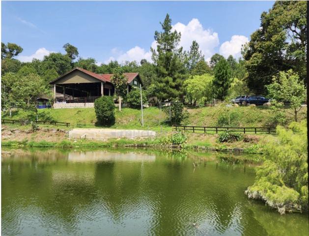Resort Durian Musang King, Kolam Ikan Hulu Langat 1