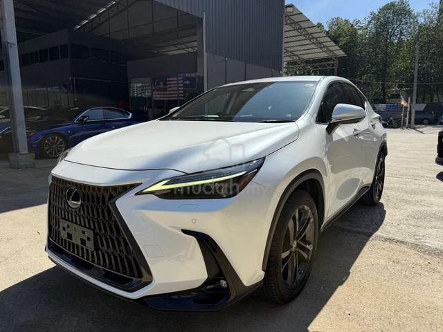 2022 Lexus NX 250 2.5 LUXURY (A) BROWN HUD BSM DIM - 3