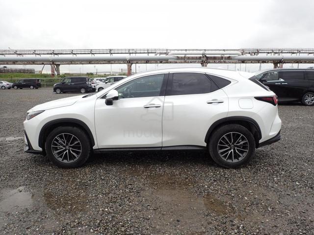 2024 Lexus NX250 HUD 4CAM SUNROOF - 2