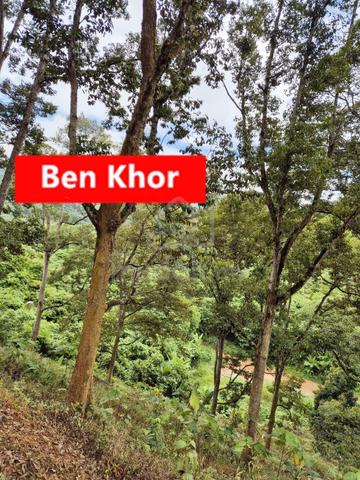 4.7Acres | Old Tree Durian Farm | Lenggong | PERAK 5