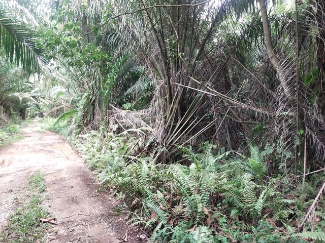 Sijangkang Flat Land Telok Panglima Garang, 📌2.04 Acres 5