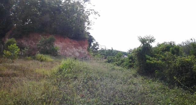 Tanah 4 Lot Untuk Dijual Di Pendang, Kedah 1