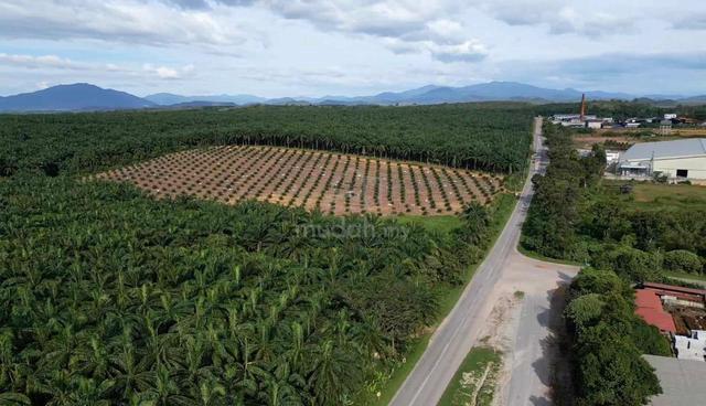 Bukit Selambau Agricultural Title Beside Road Zoning Industry For Sale 1
