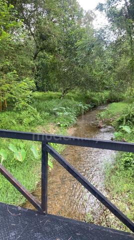 Tanah Dusun 1.5 ekar di Batu 22 Sg lui Hulu Langat 1