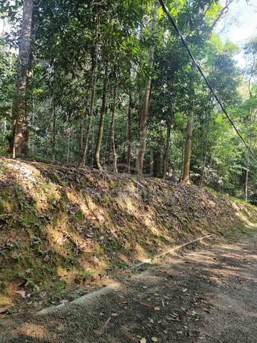 Tanah 3 ekar, sesuai utk rumah, kebun, resort di Janda Baik, Termerloh 2