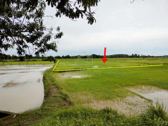 Sawah Padi 3.260 Relong Lubuk Batu, Mukim Rambai,Kubur Panjang,Pendang 1