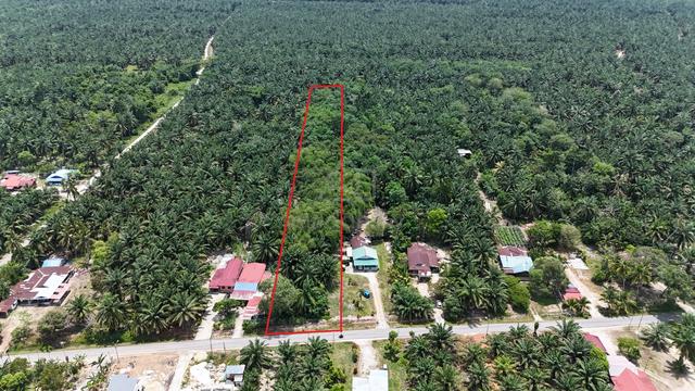 Tanah Pertanian Senggarang Batu Pahat Untuk Dijual 1