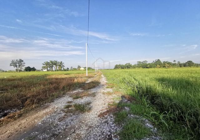 Rumah Banglo Di Tengah Sawah, 11km Dari Hospital Teluk Intan 2