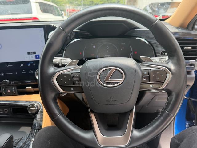 2023 Lexus NX250 2.5 LUXURY MARK LEVINSON/BODYKIT - 5