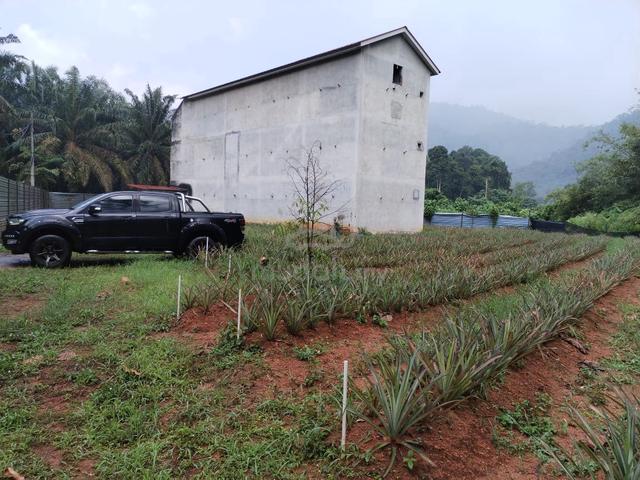 The cheapest unit for taiping warehousing 1
